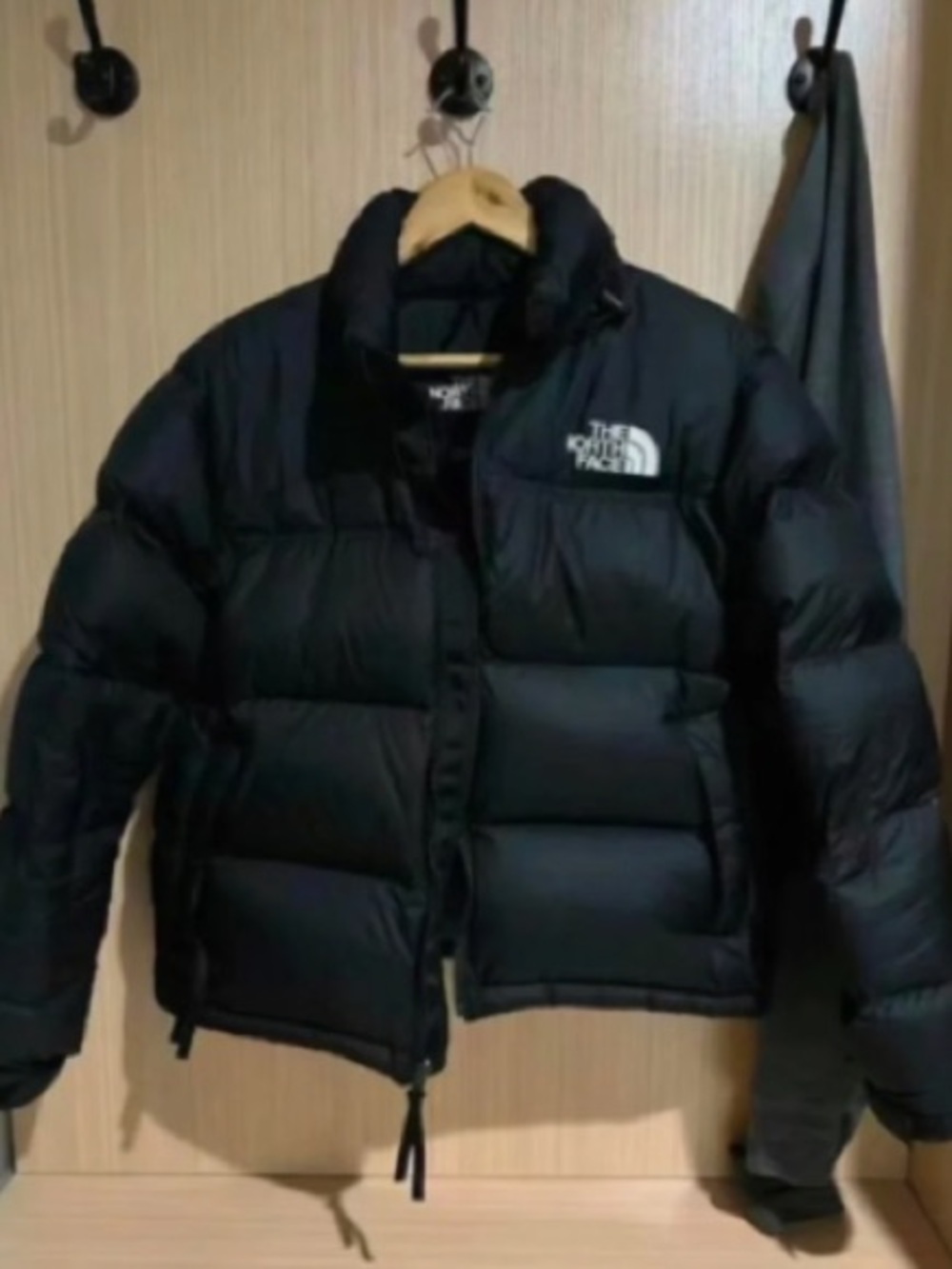 The North Face Men’s Black Down Puffer Jacket